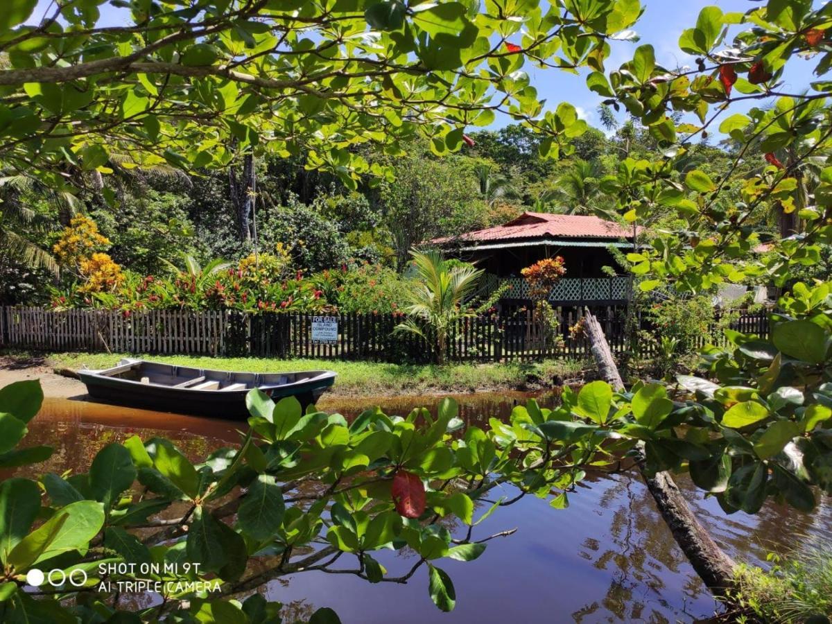 Madre Selva Hostel Puerto Viejo de Talamanca Ngoại thất bức ảnh