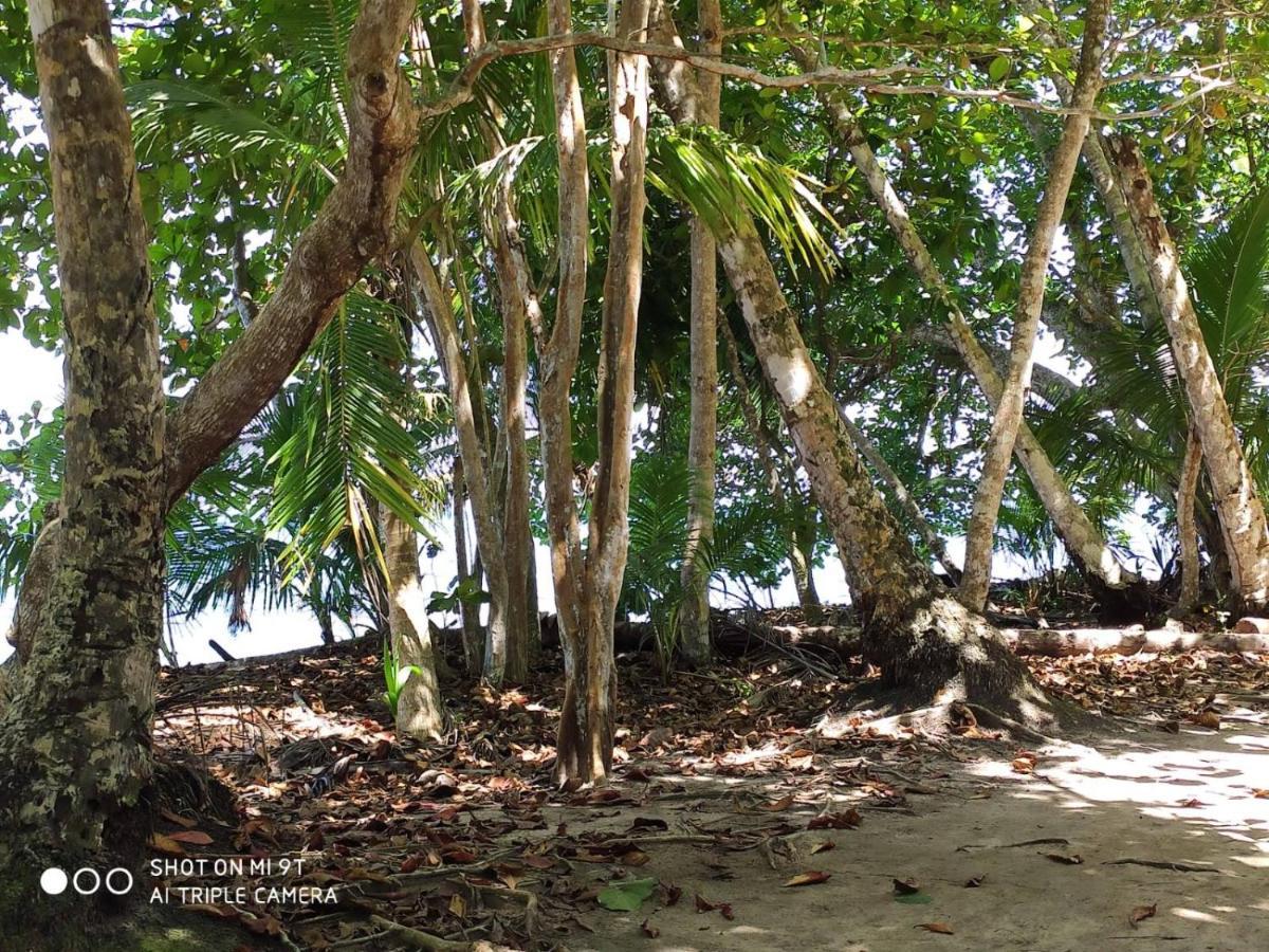 Madre Selva Hostel Puerto Viejo de Talamanca Ngoại thất bức ảnh