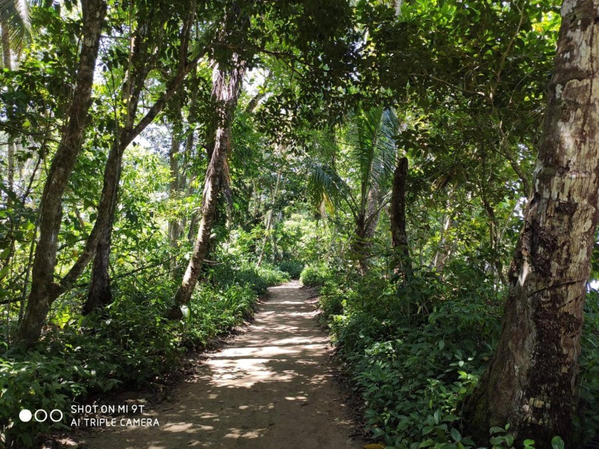 Madre Selva Hostel Puerto Viejo de Talamanca Ngoại thất bức ảnh
