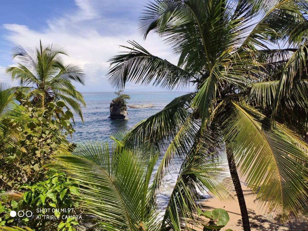 Madre Selva Hostel Puerto Viejo de Talamanca Ngoại thất bức ảnh