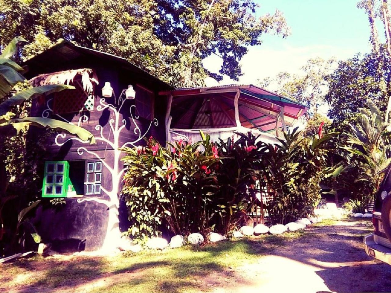 Madre Selva Hostel Puerto Viejo de Talamanca Ngoại thất bức ảnh