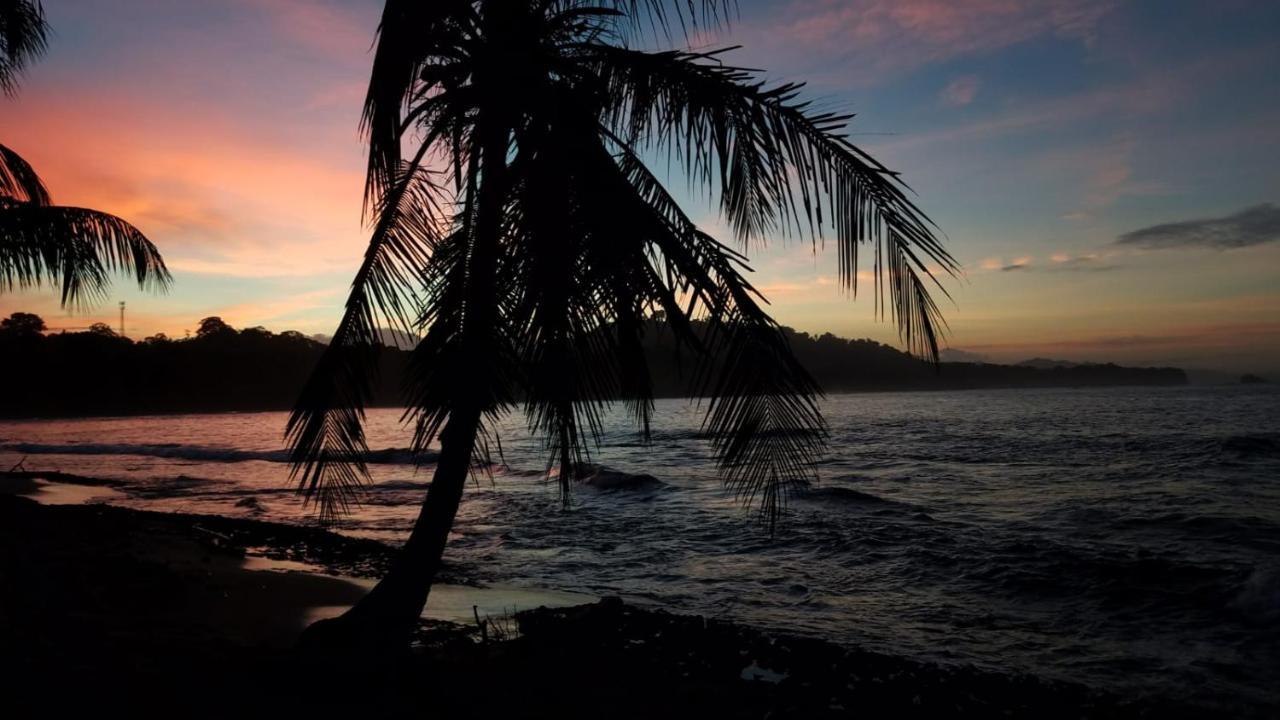 Madre Selva Hostel Puerto Viejo de Talamanca Ngoại thất bức ảnh