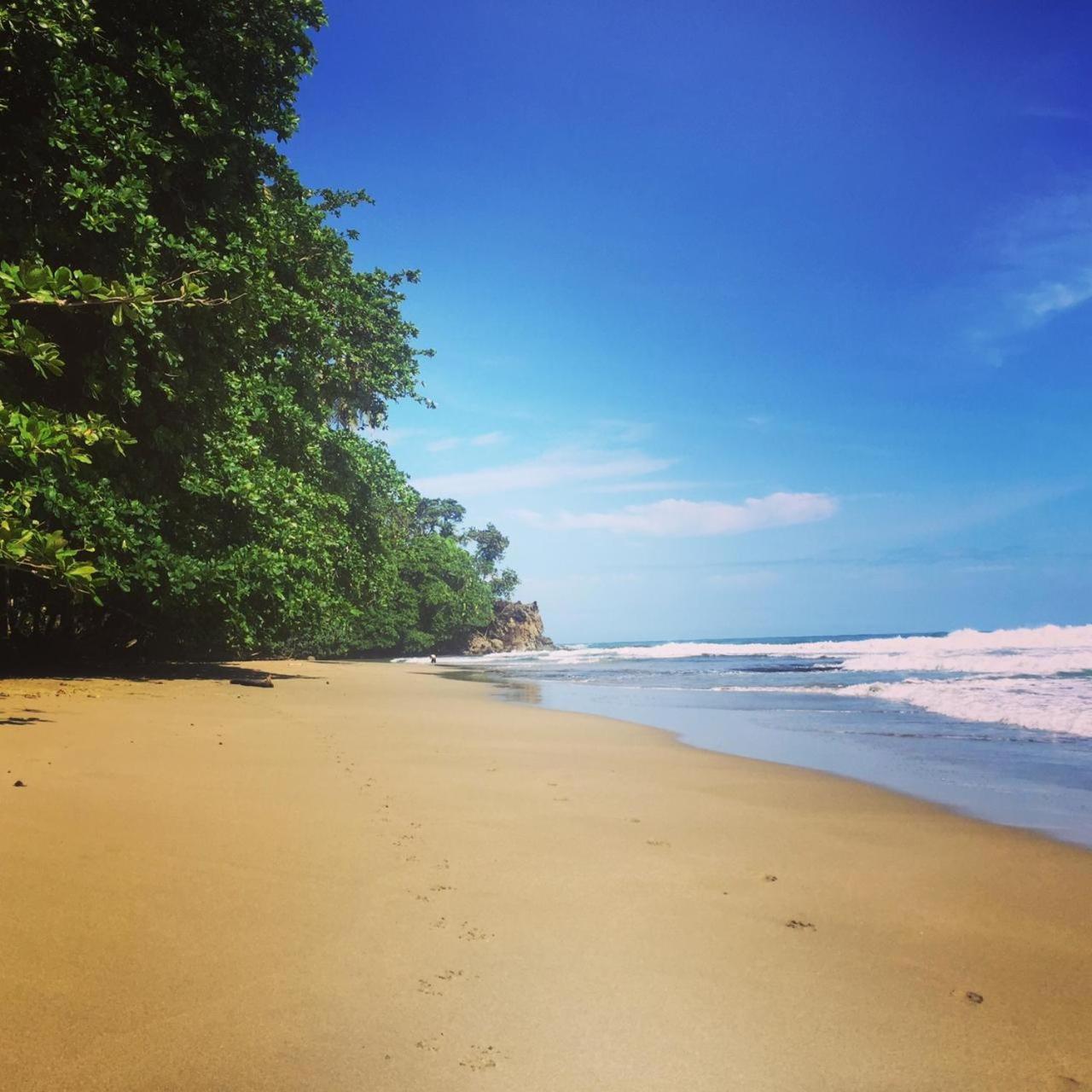 Madre Selva Hostel Puerto Viejo de Talamanca Ngoại thất bức ảnh