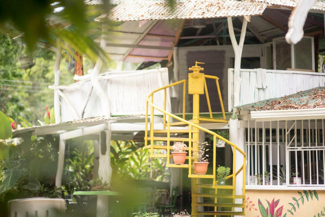 Madre Selva Hostel Puerto Viejo de Talamanca Ngoại thất bức ảnh