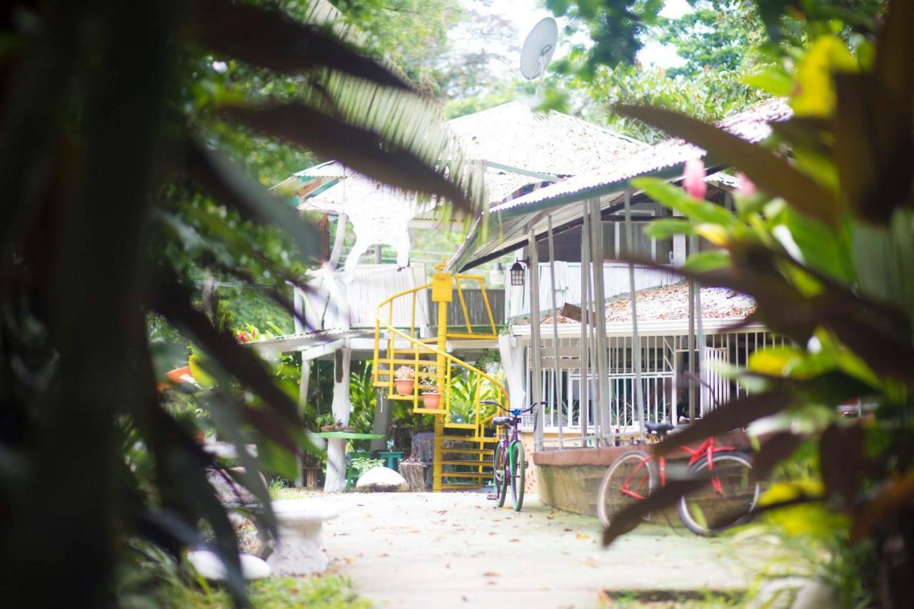 Madre Selva Hostel Puerto Viejo de Talamanca Ngoại thất bức ảnh