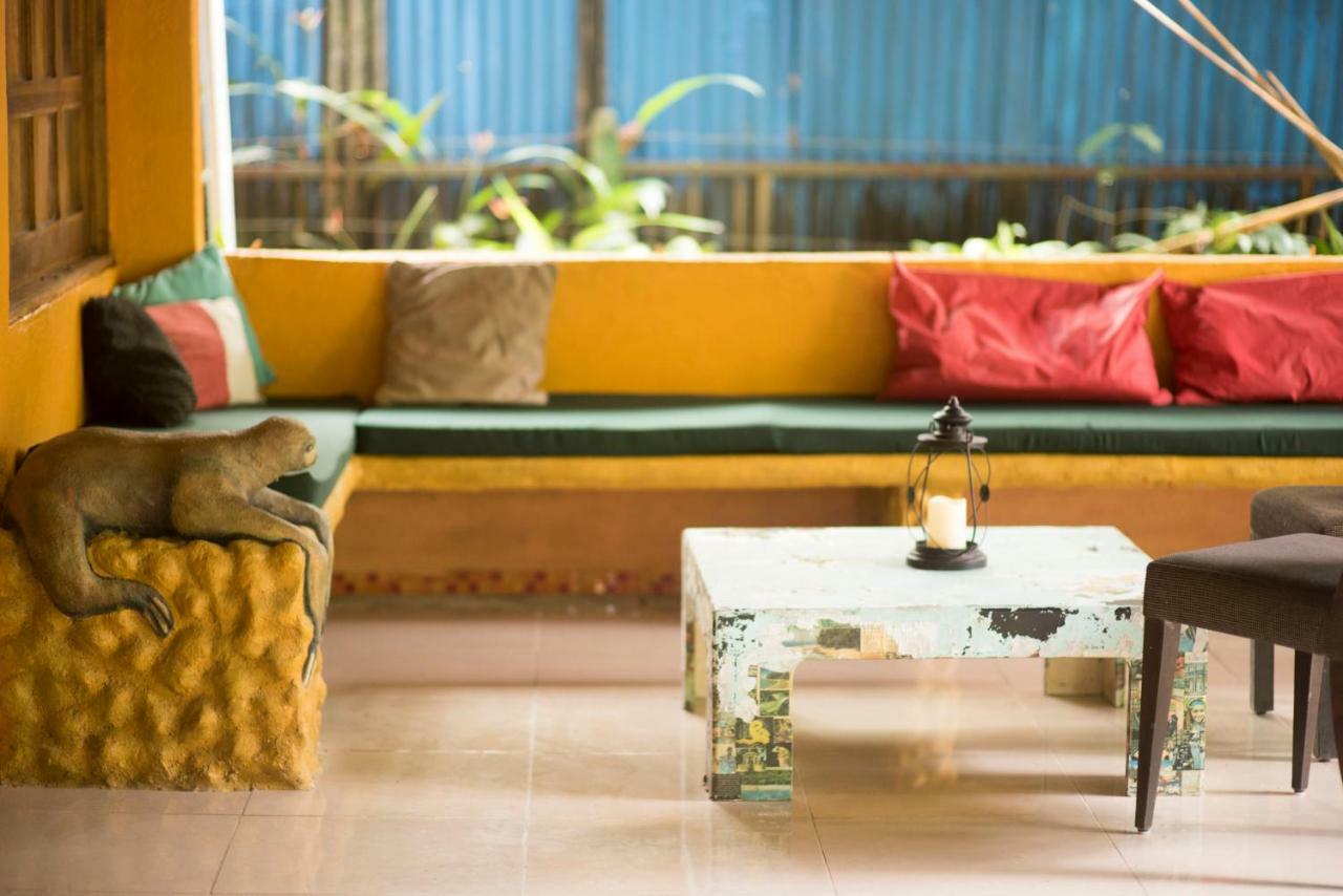 Madre Selva Hostel Puerto Viejo de Talamanca Ngoại thất bức ảnh