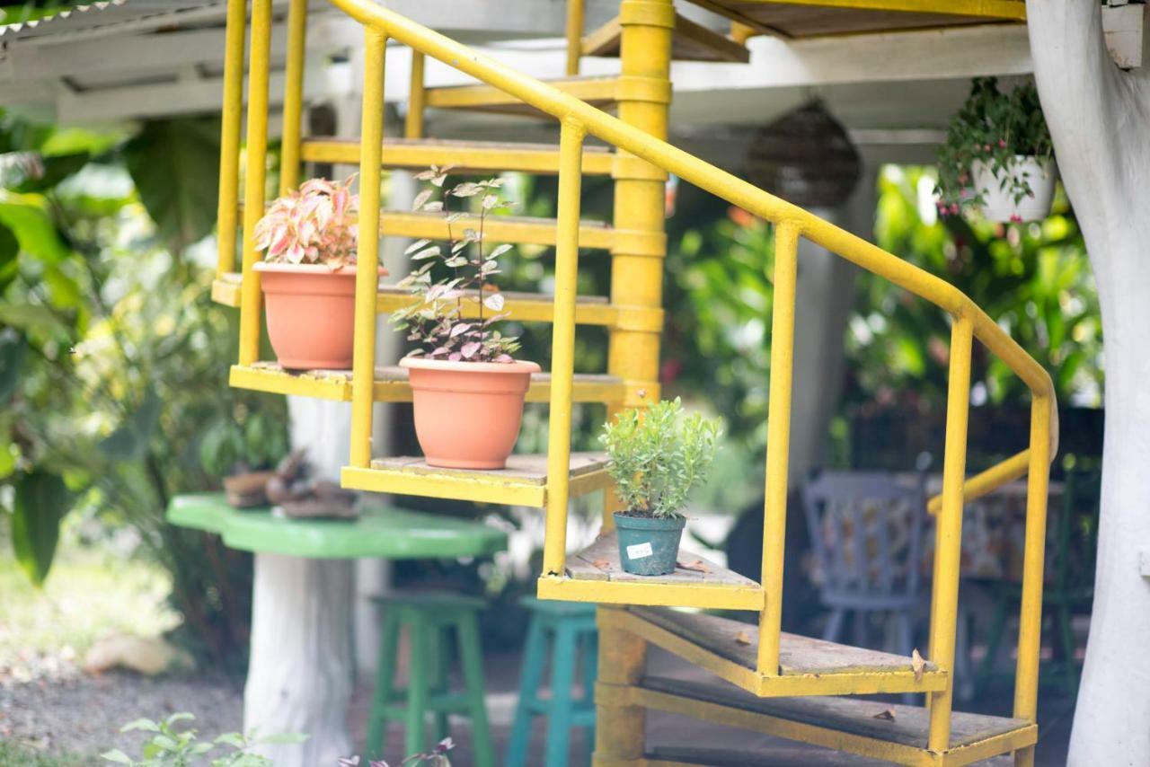 Madre Selva Hostel Puerto Viejo de Talamanca Ngoại thất bức ảnh