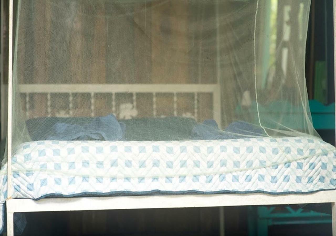Madre Selva Hostel Puerto Viejo de Talamanca Ngoại thất bức ảnh