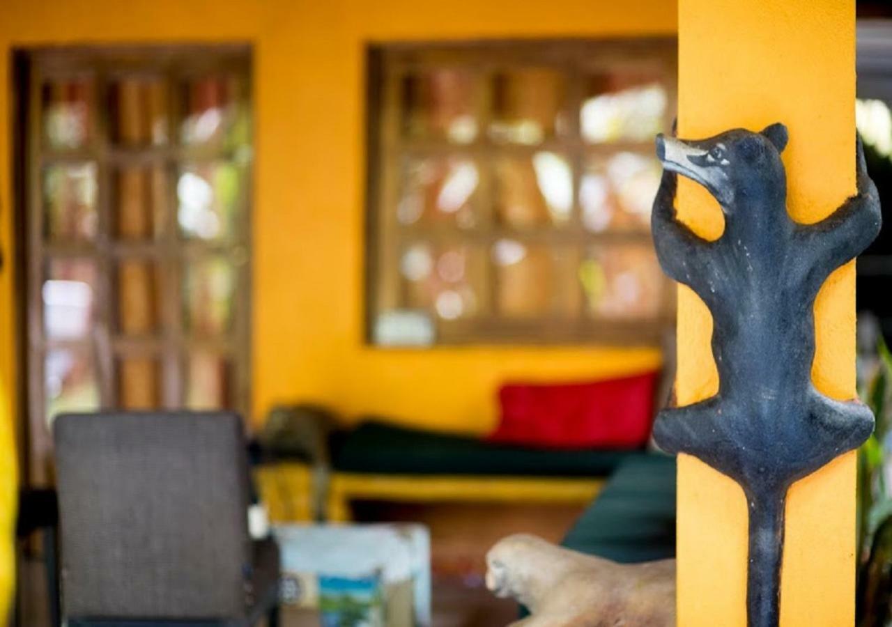 Madre Selva Hostel Puerto Viejo de Talamanca Ngoại thất bức ảnh